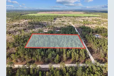 Se 126 Avenue, Morriston, FL 32668 - Photo 5