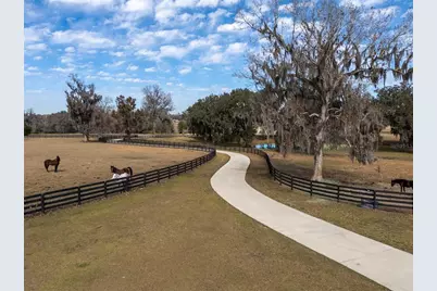 11920 SE 22nd Avenue Road, Ocala, FL 34480 - Photo 27