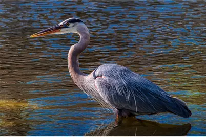 515 Midway Drive #A, Ocala, FL 34472 - Photo 43