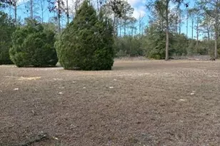 20929 SW Audubon Ave, Dunnellon, FL 34431 - Photo 51