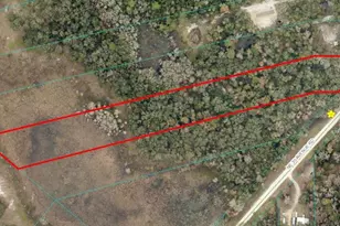 Tbd NE 35th Ave Rd, Citra, FL 32113 - Photo 1