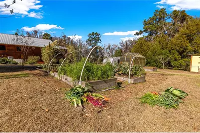 9145 NW 193 Street, Micanopy, FL 32667 - Photo 73