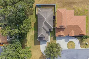 4913 NE 122nd Ave, Oxford, FL 34484 - Photo 35