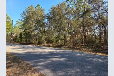 3686 W Parkview Drive, Dunnellon, FL 34433 - Photo 5