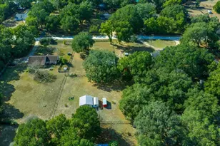 13181 NE 39th Terrace, Anthony, FL 32617 - Photo 11