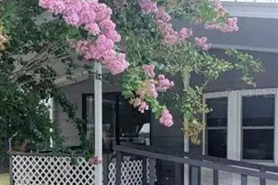 5335 SE 186th Ct, Ocklawaha, FL 32179 - Photo 7