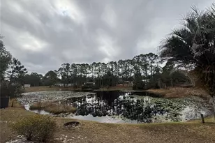 5335 SE 186th Ct, Ocklawaha, FL 32179 - Photo 11