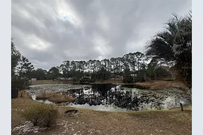 5335 SE 186th Court, Ocklawaha, FL 32179 - Photo 9