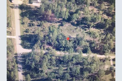 0 SW 209 Avenue, Dunnellon, FL 34431 - Photo 1