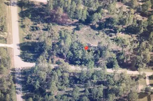 0 SW 209 Ave, Dunnellon, FL 34431 - Photo 1