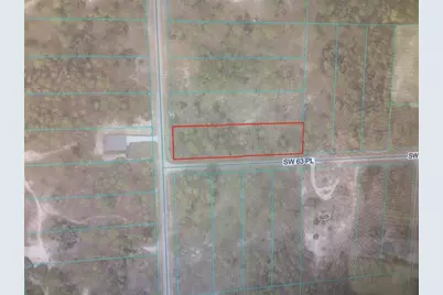 0 SW 209 Avenue, Dunnellon, FL 34431 - Photo 3