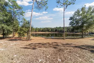 39742 Carolina Ave, Lady Lake, FL 32159 - Photo 37