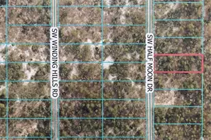 Lot 11 SW Half Moon Dr, Dunnellon, FL 34431 - Photo 1