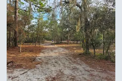 6341 W Stockholm Lane, Dunnellon, FL 34433 - Photo 11