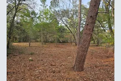 6341 W Stockholm Lane, Dunnellon, FL 34433 - Photo 5