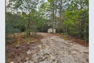 6341 W Stockholm Lane, Dunnellon, FL 34433 - Photo 9