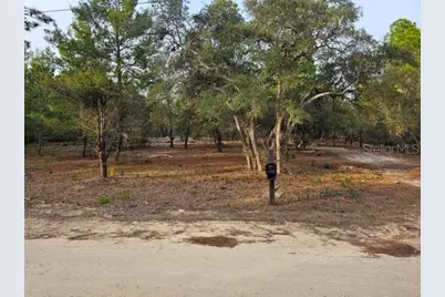 6341 W Stockholm Lane, Dunnellon, FL 34433 - Photo 3