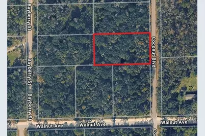 1872 Coconut Boulevard, Bunnell, FL 32110 - Photo 1