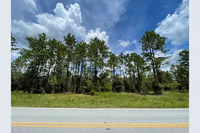 00 SW Marine Boulevard, Dunnellon, FL 34431 - Photo 1