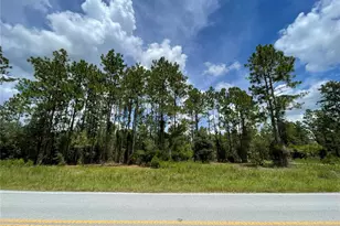 00 SW Marine Blvd, Dunnellon, FL 34431 - Photo 1