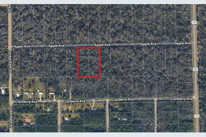 3767 & 3739 Apple Avenue, Bunnell, FL 32110 - Photo 1