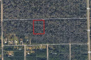 3767 & 3739 Apple Ave, Bunnell, FL 32110 - Photo 1