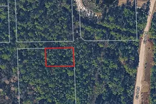 Lot 260 Cir S Rd, Bunnell, FL 32110 - Photo 1