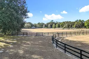 21051 SE 42nd St, Morriston, FL 32668 - Photo 37