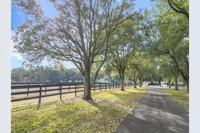 21051 SE 42nd Street, Morriston, FL 32668 - Photo 15