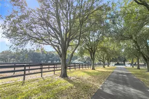 21051 SE 42nd St, Morriston, FL 32668 - Photo 19