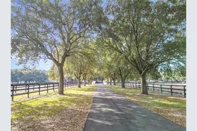 21051 SE 42nd Street, Morriston, FL 32668 - Photo 13