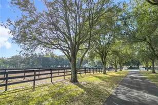 21051 SE 42nd St, Morriston, FL 32668 - Photo 19