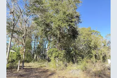 15331 NE 3rd Lane, Williston, FL 32696 - Photo 5