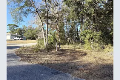 15331 NE 3rd Lane, Williston, FL 32696 - Photo 3