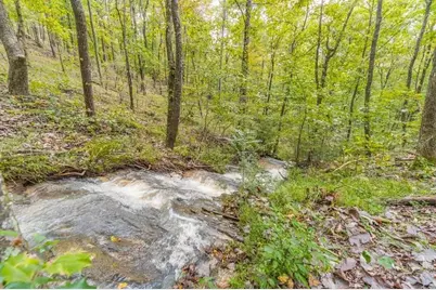 163 Sequoia Trace, Cleveland, GA 30528 - Photo 33