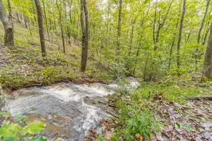 163 Sequoia Trce, Cleveland, GA 30528 - Photo 33