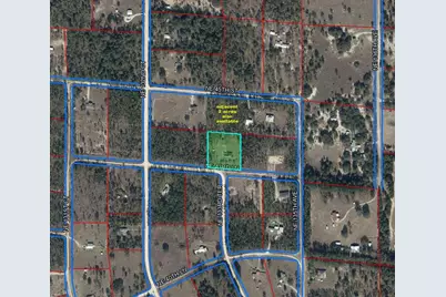 13391 NE 43rd Lane, Williston, FL 32696 - Photo 3