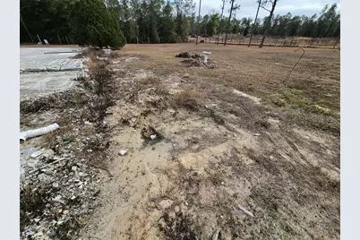 13391 NE 43rd Lane, Williston, FL 32696 - Photo 11