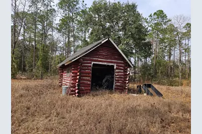 13391 NE 43rd Lane, Williston, FL 32696 - Photo 7