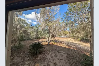 13668 NE 226th Avenue Road, Salt Springs, FL 32134 - Photo 15