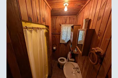 13668 NE 226th Avenue Road, Salt Springs, FL 32134 - Photo 17