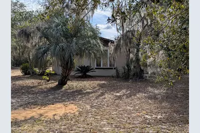 13668 NE 226th Avenue Road, Salt Springs, FL 32134 - Photo 7