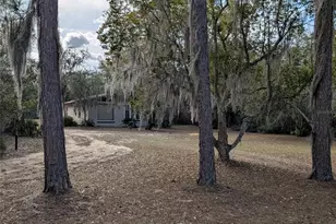 13668 NE 226th Avenue Rd, Salt Springs, FL 32134 - Photo 3