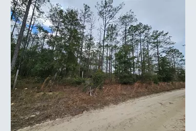 Tbd NE 45th Street, Williston, FL 32696 - Photo 1