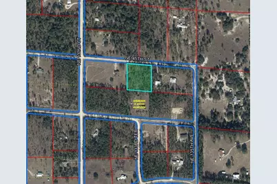 Tbd NE 45th Street, Williston, FL 32696 - Photo 3