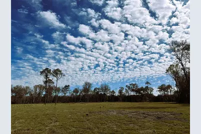Dr #3 (10Ac) NW 193rd St, Micanopy, FL 32667 - Photo 1