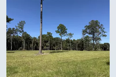 Dr #3 (10Ac) NW 193rd St, Micanopy, FL 32667 - Photo 5