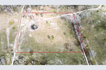 Dr #3 (10Ac) NW 193rd St, Micanopy, FL 32667 - Photo 7