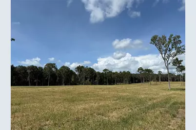 Dr #3 (10Ac) NW 193rd St, Micanopy, FL 32667 - Photo 3