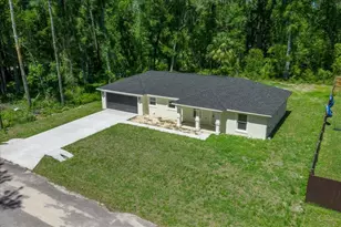 11 Sequoia Loop Pl, Ocklawaha, FL 32179 - Photo 3